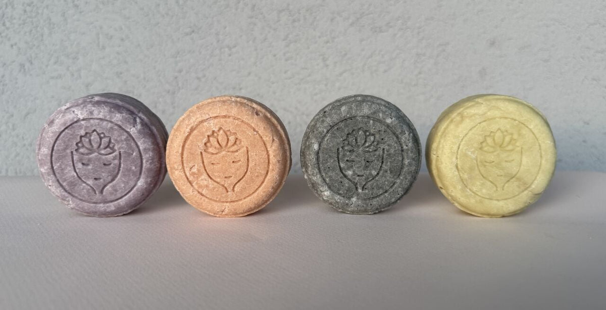 Yan yana dört Alchebist katı şampuan: mor, pembe, gri ve yeşil